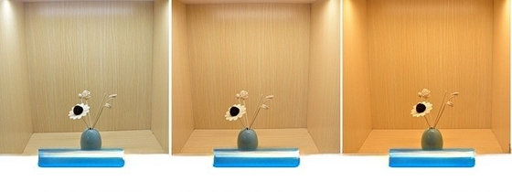 Portable Wardrobe Lamp Strip with Hand Sweep IR Induction and Magnetic Self-Adhesive