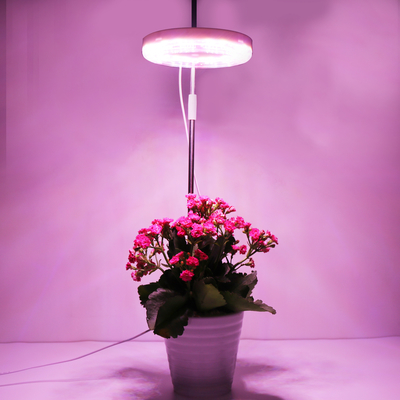 12W USB Ground Plug Light for Plants Growth Professional Manufacturers Suppliers
